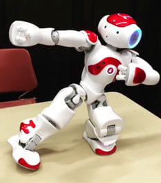 Nao Robot Utari