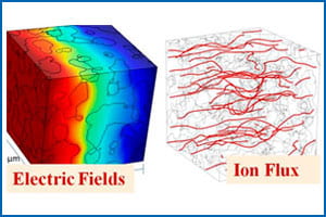 Electric field and ion flux
